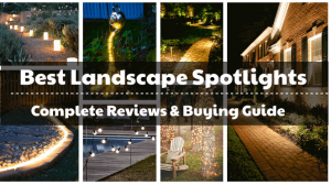 Best Landscape Spotlights